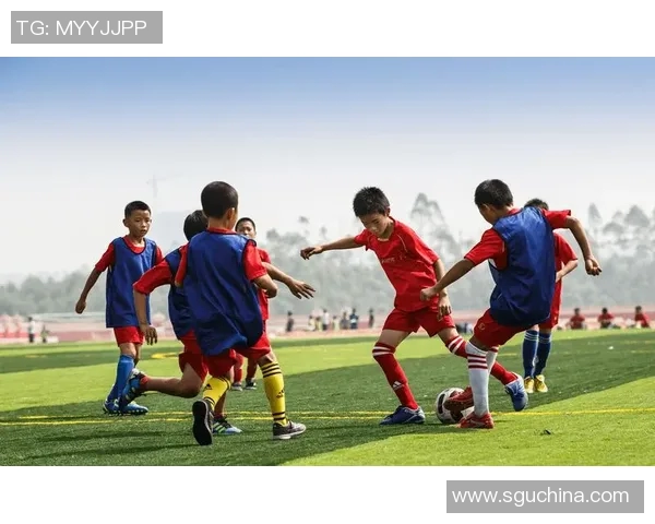 中国足球王的崛起与挑战：从青训体系到国际赛场的全景分析