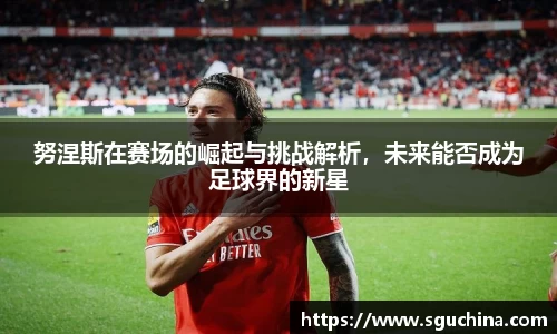 努涅斯在赛场的崛起与挑战解析，未来能否成为足球界的新星
